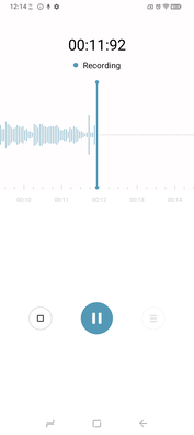 Den vanliga ljudinspelaren. (Bildkälla: Sergey Tarasov - Notebookcheck)