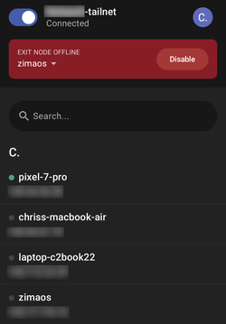 Tailscale på en smartphone