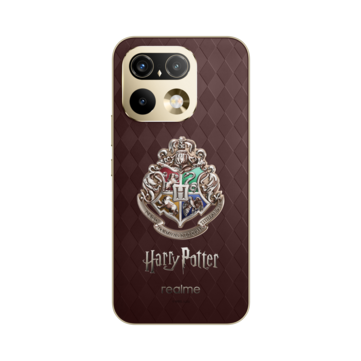De fyra Hogwarts-husens vapen visar sina husfärger i solljus