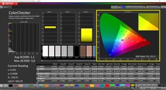 CalMAN ColorChecker (profil: sRGB, målfärgrymd: sRGB)