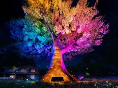Govee&#039;s Outdoor Tree Lights (bilden) kommer att lanseras i september 2025. (Bildkälla: Govee)