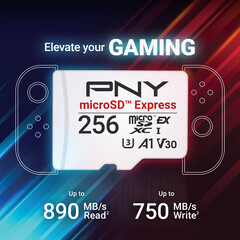 PNY microSD Express flash-kort (Bildkälla: PNY PR)