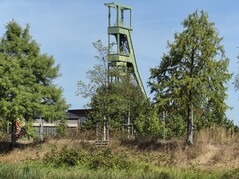 Zooma 5x