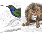 Illustrationer av vilda djur