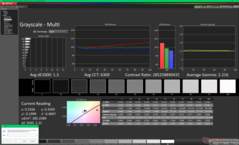 Gråskala före kalibrering (P3)
