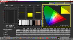 CalMAN ColorChecker (profil: sRGB, målfärgrymd: sRGB)