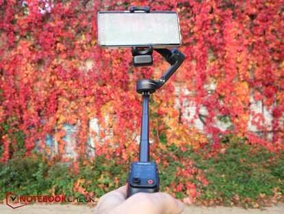 205 mm Selfie-pinne