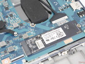SSD och CPU har begränsad kylning, sannolikt på grund av den mycket låga målvikten för den bärbara datorn Dynabook (Bildkälla: Notebookcheck)