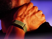 Garmin förväntas snart lansera ett alternativ till Polar Loop som visas här.