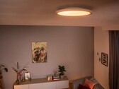 De nya Philips Hue Aurelle-taklamporna (bilden) kommer att vara billigare än originalversionerna. (Bildkälla: Philips Hue)