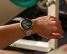 Garmin har nu skickat ut fem v20.xx-uppdateringar till Fenix 8 och dess motsvarigheter, men inte till Fenix 8 Pro. (Bildkälla: Garmin)