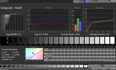 Gråskala (profil: Original Pro, målfärgrymd: sRGB)
