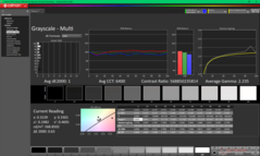 Gråskala efter kalibrering