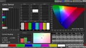 CalMAN-färgrymd sRGB - inre display