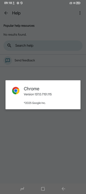 Chrome 137 kommer förinstallerat. (Bildkälla: Sergey Tarasov - Notebookcheck)