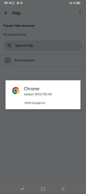 Chrome 137 kommer förinstallerat. (Bildkälla: Sergey Tarasov - Notebookcheck)