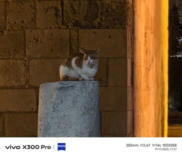 Vivo X300 Pro 200 mm utan telekonverter.