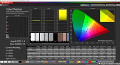 CalMAN ColorChecker (målfärgrymd P3)