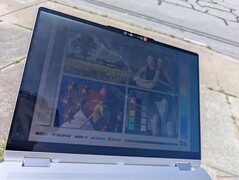 Utomhus under solljus