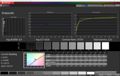 Gråskala (kalibrerad)
