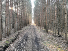 HDR mode