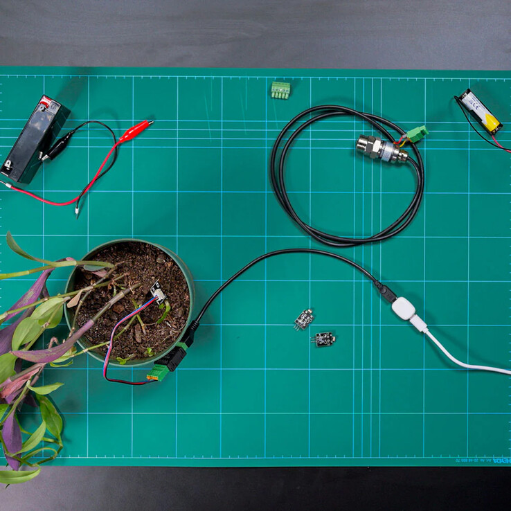 Pillret av Shelly (Bildkälla: Shelly)