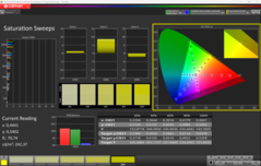 CalMAN Mättnadssvep (efter kalibrering)