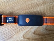 Weenect XT med Julius K9-halsband