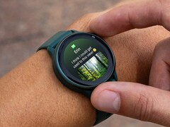 Garmin vivoactive 6 smartwatch (bilden) verkar ha fått en ny uppdatering. (Bildkälla: Garmin)