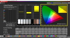 CalMAN ColorChecker (profil: sRGB, målfärgrymd: sRGB)