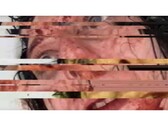 En skärmdump från skräckspelet VILE: Exhumed, som visar en pausad och glitchad VHS-video av en kvinna. (Bildkälla: DreadXP/Final Girl Games)