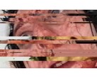 En skärmdump från skräckspelet VILE: Exhumed, som visar en pausad och glitchad VHS-video av en kvinna. (Bildkälla: DreadXP/Final Girl Games)