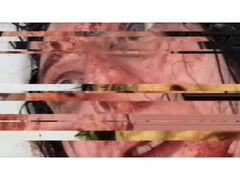 En skärmdump från skräckspelet VILE: Exhumed, som visar en pausad och glitchad VHS-video av en kvinna. (Bildkälla: DreadXP/Final Girl Games)