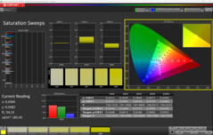 CalMAN-mättnad (profil: sRGB)