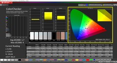 CalMAN ColorChecker (målfärgrymd P3)