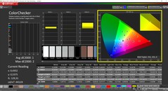 Calman ColorChecker (Profil: P3, Målfärgrymd: P3)