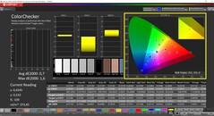 CalMAN ColorChecker kalibrerad (profil: P3, målfärgrymd: P3)
