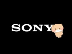 Den sömnlösa björnen Nemu är avsedd att hjälpa Sony att bygga upp ett internationellt framgångsrikt karaktärsvarumärke.