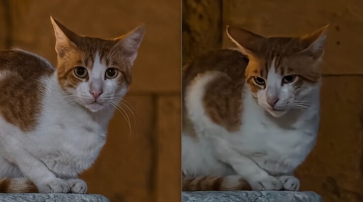 Vänster: Med telekonverter vid 200 mm. Till höger: Utan telekonverter.