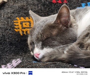 Vivo X300 Pro 400 mm utan telekonverter.