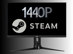 1440p-skärm som den som används av Steam-spelare på bilden (Bildkälla: Asus, Steam med redigeringar)