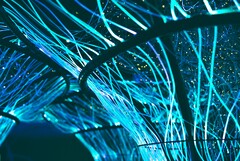 Fiberoptiska kablar kan också användas för att skapa konstverk. (Bildkälla: Pexels/Georgie Devlin)