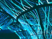 Fiberoptiska kablar kan också användas för att skapa konstverk. (Bildkälla: Pexels/Georgie Devlin)