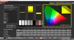 CalMAN ColorChecker (profil: P3, målfärgrymd: P3)