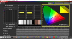 CalMAN ColorChecker kalibrerad (DCI-P3 färgmålsutrymme)