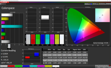 CalMAN: Färgrymd – sRGB-färgrymd som mål, egen vitbalans