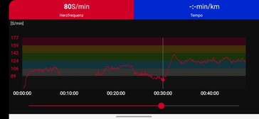 Pulsmätning Polar H10 bröstband (referensanordning)