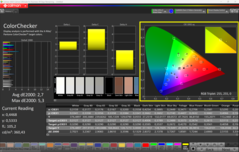 CalMAN ColorChecker (profil: P3)