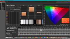 ColorChecker (sRGB-förinställning)