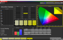 CalMAN-mättnad (P3)